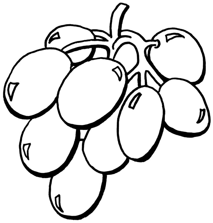 fruit grapes